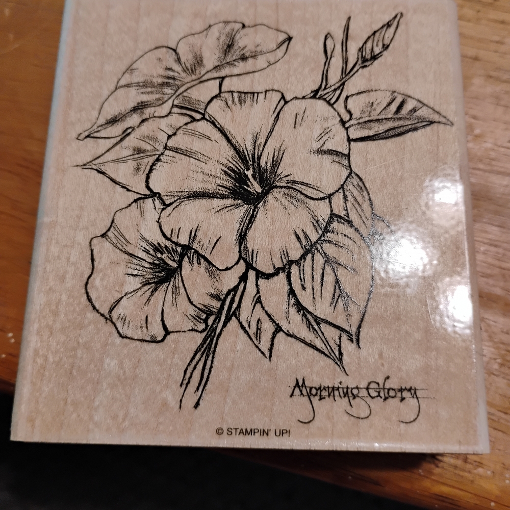 Stampin' Up! Morning Glory Stamp - Black